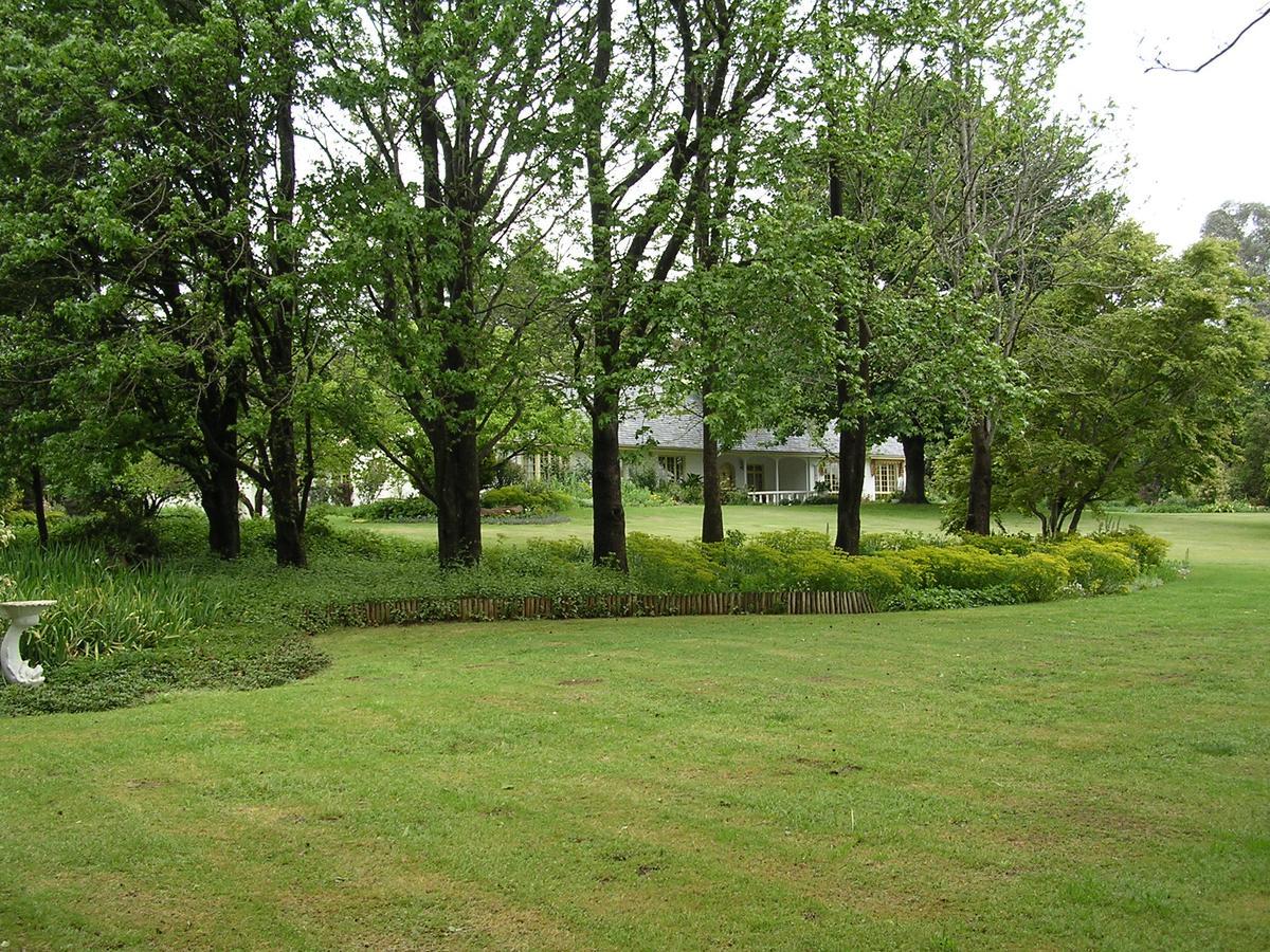 Bed and Breakfast Cedar Garden Underberg Exterior foto